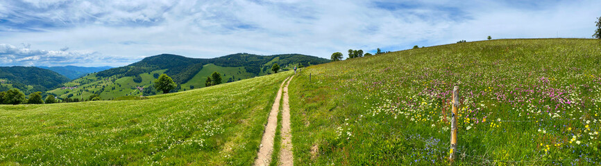 Wieden_Wanderweg_2307 © Dieter Kenz