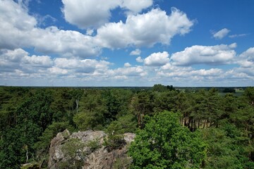 Fototapete bei efototapeten.de bestellen   
