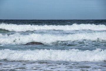 Fototapeta premium waves on the sea
