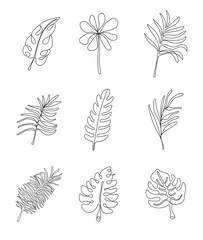 Floral tropical branch of palm in line art style. Fern, monstera leaves for invitation, poster, logo.