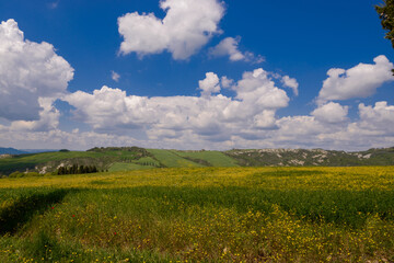 bellissima vista con cipressi in toscana