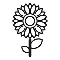 Sunflower icon outline vector. Eco farm
