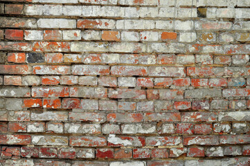 The texture of the old brick is white and red. Masonry with chips and faults
