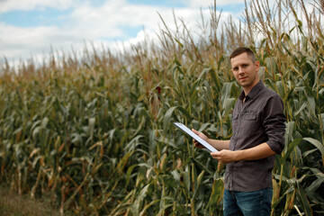 young agronomist holds a paper chart in his hands and analyzes the corn crop