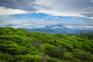 Fototapeta na wymiar Mexican jungle view with mountain background between the clouds