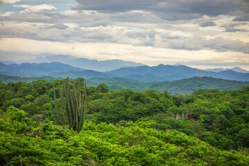 Mexican jungle view with mountain background between the clouds