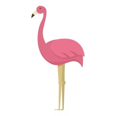 Argentina flamingo icon cartoon vector. Travel aires. Landmark culture