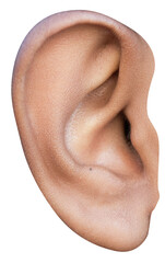 Naklejka premium Human Air Close-Up Shot Or Air Ant Doctor Check