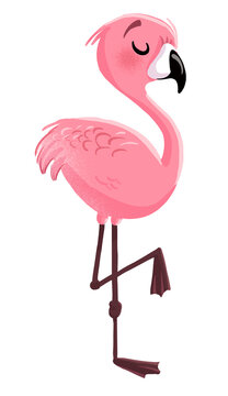 Children's illustration of pink flamingo