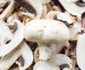 Lots of chopped mushrooms. Cooking dishes with mushrooms. Raw chopped mushrooms.  Unprepared product. Healthy food for lunch