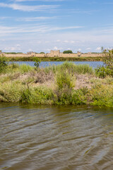 Remparts d'Aigues-Mortes depuis les marais salants
