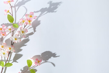 Transparent light and shadows from branches, plant, foliage and leaves. Sun and shadows. Gray shadow of the leaves with pink flower. Space for text, blank background for advertising.