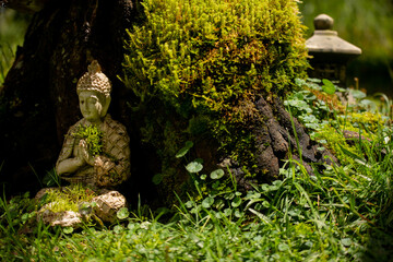 moss on the stone and buddha statue