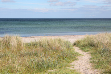 Path through the sand dunes at the coast of the Baltic Sea, Marielyst, Denmark