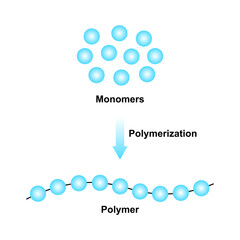 Scientific Designing of Polymerization Reaction. Converting Monomers to Polymer. Colorful Symbols. Vector Illustration.