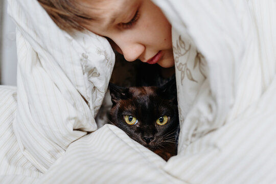 High Angle View Of Boy Holding Cat Under The Blanket