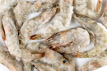 Frozen grey tiger shrimps or raw prawns with ice on white background