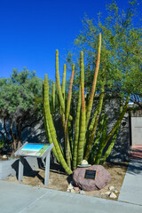 ARIZONA, USA - November 24, 2019: information board near cacti at the Organ Pipe Cactus National...