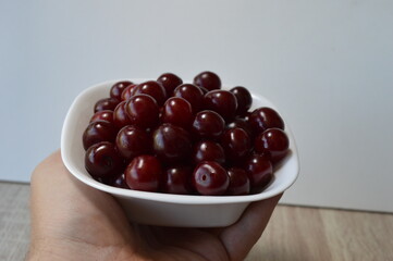 Freshly picked sour cherries in a white bowl in a man's hand