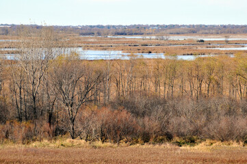 Horicon Marsh Wildlife Area Wisconsin