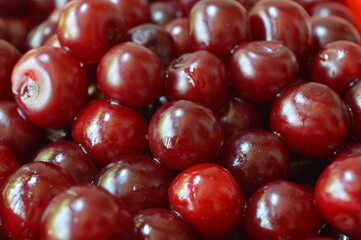 A pile of freshly picked sour cherries