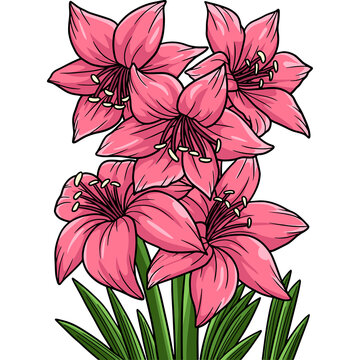 recommend clip art: Amaryllis Flower Cartoon Colored Clipart 