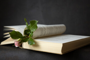 open book with a rosebud as a bookmark