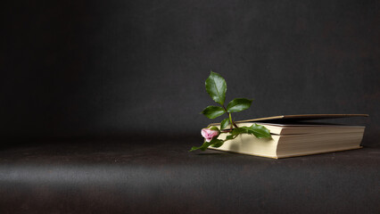 Rosebud as a bookmark for an unread book