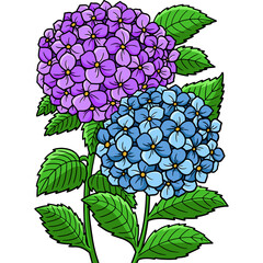 Hydrangea Flower Cartoon Colored Clipart 