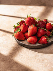 Strawberry in plate with hursh window shadows. Minimalist creative aesthetic, text space