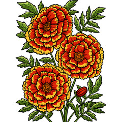 Marigold Flower Cartoon Colored Clipart 