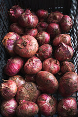 Red onions