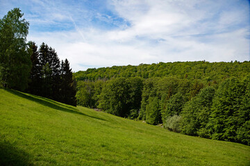 Fototapeta na wymiar Bad Harzburg Landschaft am Kaiserweg