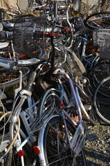 Fototapeta premium 放置自転車