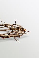 Crown of thorns symbolizing the sacrifice, suffering and resurrection of Jesus Christ on the cross on light background
