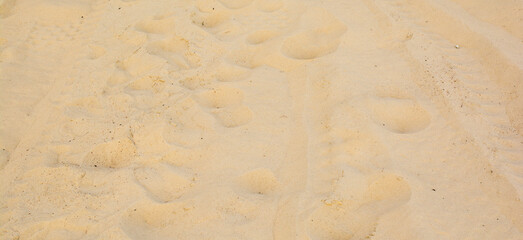 Full frame shot. Close up sand texture on beach in summer.