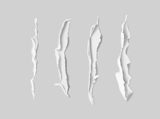 Fototapeta premium Set of realistic scratch claws on grey background. Vector illustration element ready for your design. EPS10. 