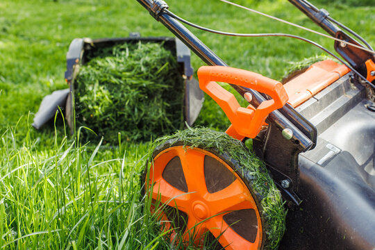 Closeup photo of lawn mower or grass cutter mowing fresh green grass in garden in sunny day. Cutting the green lawn, ecological and biological resources. Organic environmental sustainability and care