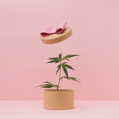 Open Eco gift box with marijuana, cannabis plant, leaves against the pastel pink background....
