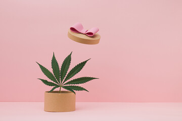 Open Eco gift box with marijuana, cannabis leaf against the pastel pink background. Minimal present...