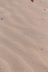 Fototapeta na wymiar areia