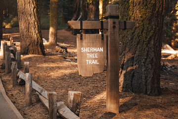 General Sherman Tree trail sign, Sequoia National Park, California, USA - Powered by Adobe