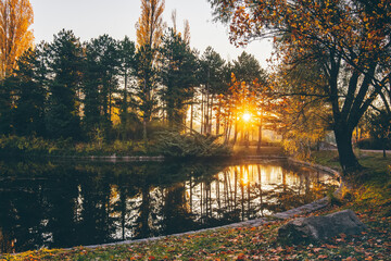 Picturesque and harmonious sunrise in a city park in Autumn. Nature background. Comfort zone. Self care. Travel concept