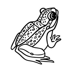 Frog outline doodle Vector Illustration. Toad in engraving style. Coloring page for kids.