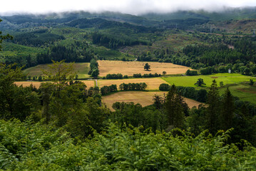 Fototapeta na wymiar Landscape photography of countryside, field, farm, forest