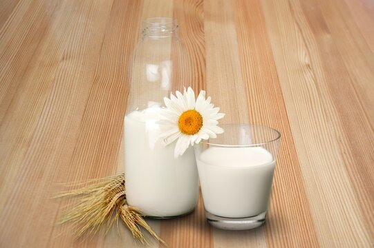 Shavuot jewish holiday celebration. Milk. Dairy products. Shavuot concept.