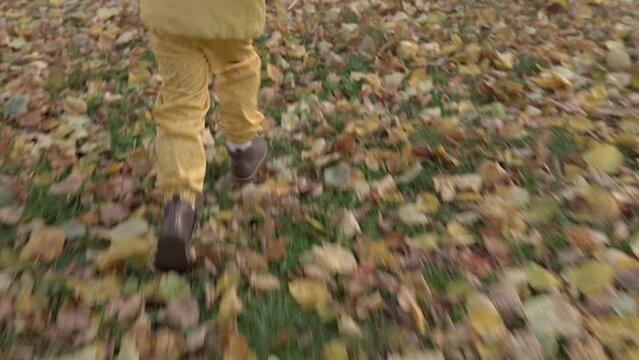 One happy funny active smilling friends child kid walking running legs shoes in park forest enjoying autumn falling leaves nature weather. Kid in yellow cloth playing hiding behind trees Slow motion