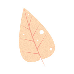 texture foliage leaf