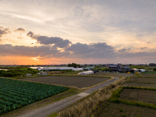Small country road and traditional Japanese house and rice fields at sunrise