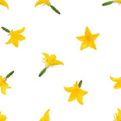 Fototapeta premium Cucumber flower isolated on white background, SEAMLESS, PATTERN